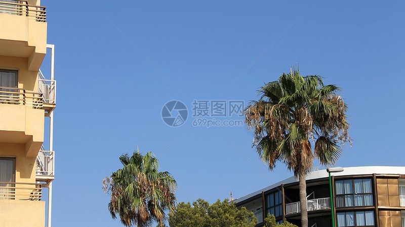 旅游线路加盟代理：揭秘收费标准背后的逻辑